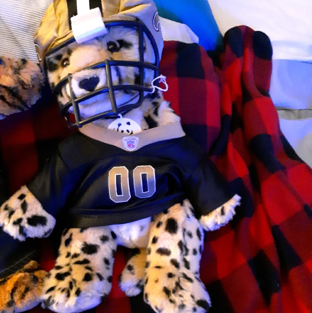 Saints Build A Bear